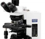 照相显微镜BX51